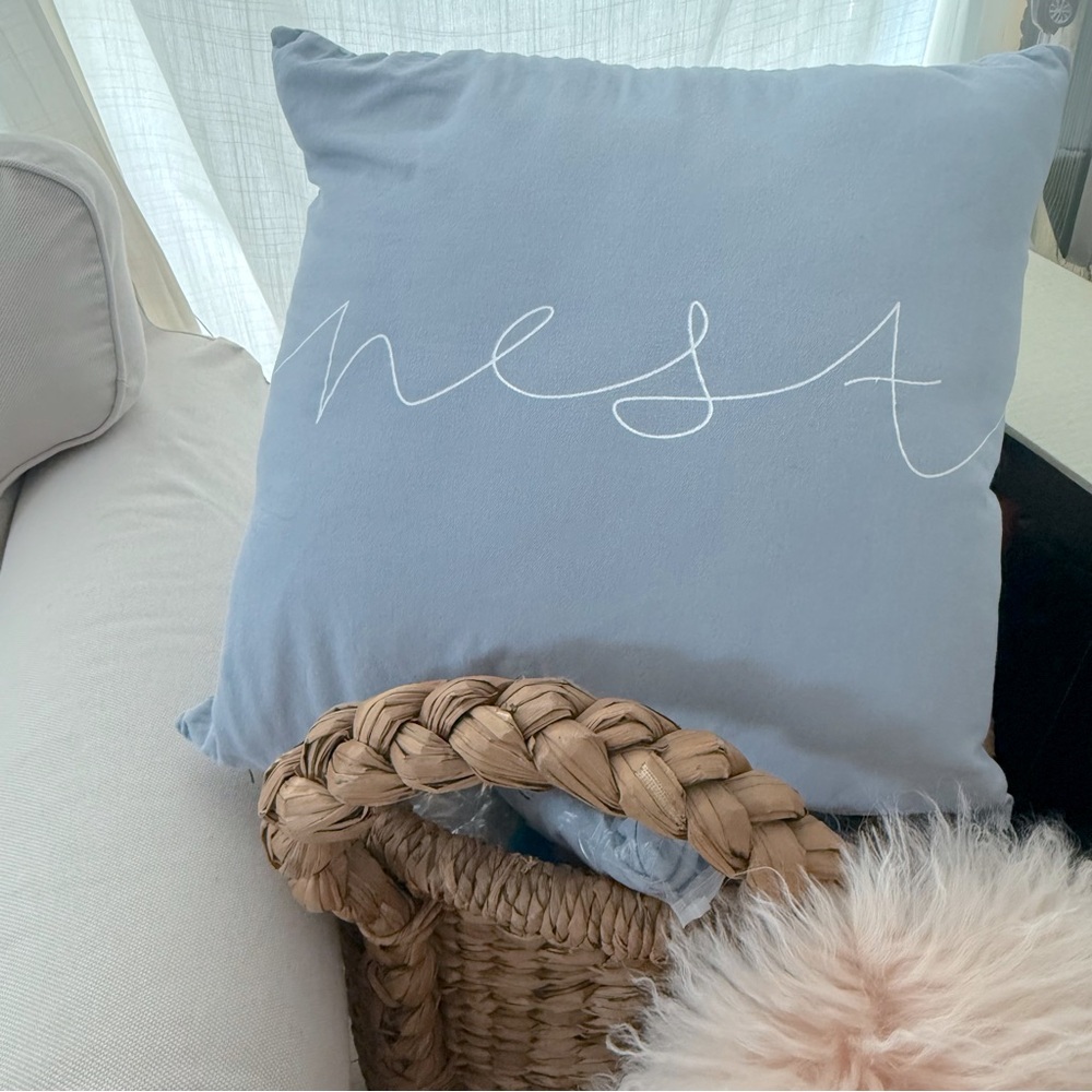 Artistic Weavers Duck Blue Throw Pillow Cover 22”x22” 100% cotton weave